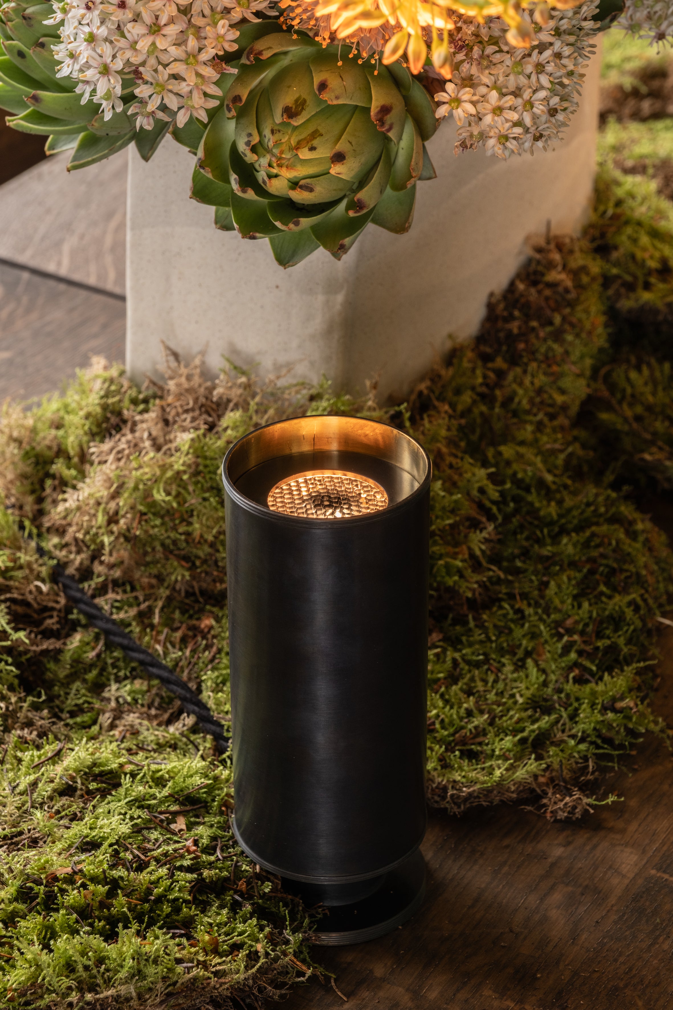 PSILAX BRONZE - Authentage