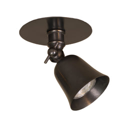 Fleure disc with springs